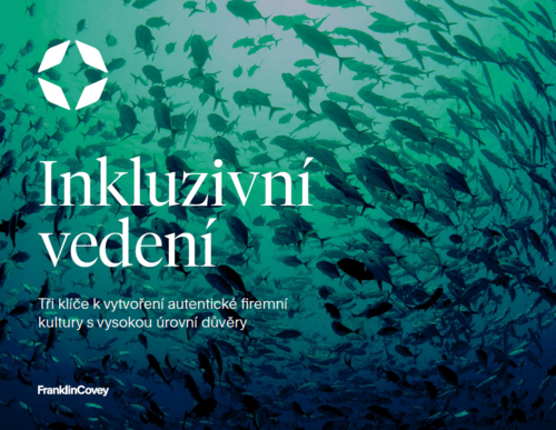 Inkluzivní vedení